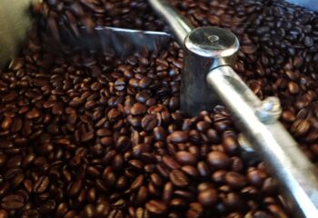 Procesamiento De Cafe De Especialidad