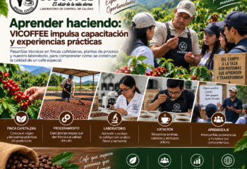 Aprender haciendo: VICOFFEE impulsa capacitación y experiencias prácticas en toda la cadena productiva del café
