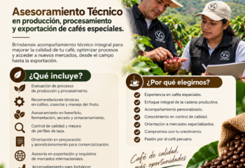 ⁠Asesoramiento Técnico en producción, procesamiento y exportación de cafés especiales.