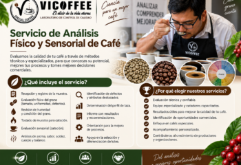 Servicio de Análisis Físico y Sensorial de Café