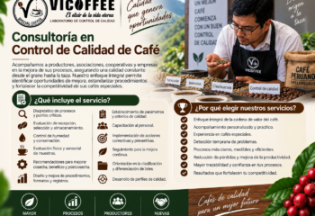 Consultoría en Control de Calidad de Café