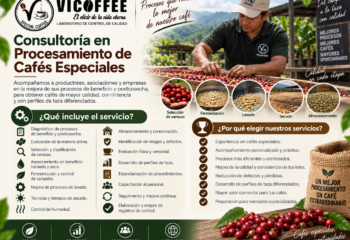 Consultoría en Procesamiento de Cafés Especiales