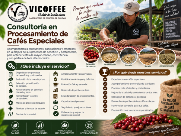 Consultoría en Procesamiento de Cafés Especiales